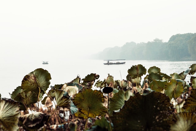 Hangzhou 2